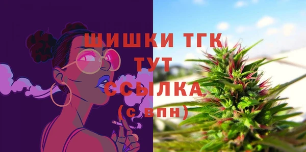 МДПВ Армянск