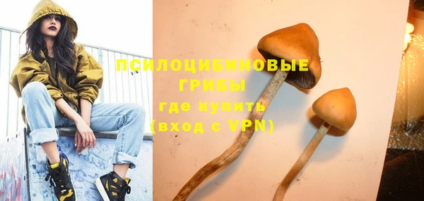 МДПВ Армянск
