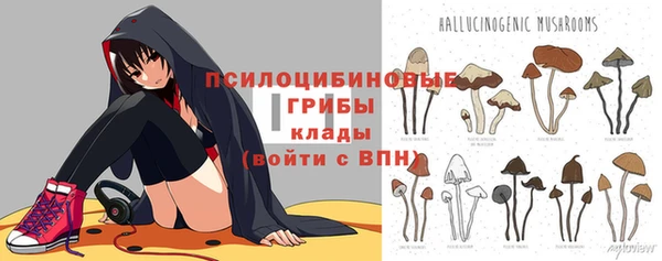 МДПВ Армянск