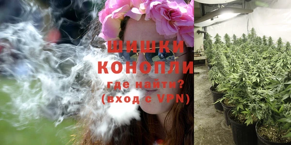 прущий лед Арсеньев