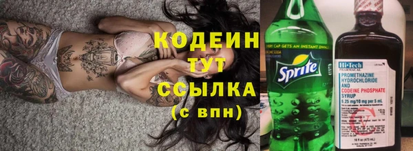 прущий лед Арсеньев