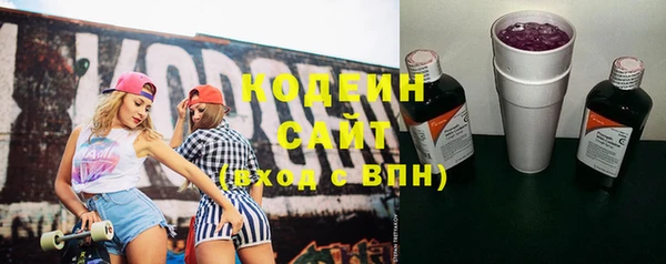 прущий лед Арсеньев